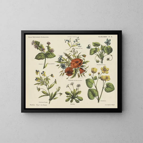 Fleurs des champs - Emrik Binger — quadro incorniciato alla parete
