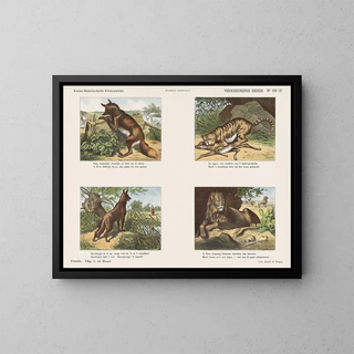 Emrik  Binger - Verscheurende dieren.webp