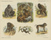 Animali a quattro mani - Emrik Binger — vista dell’opera