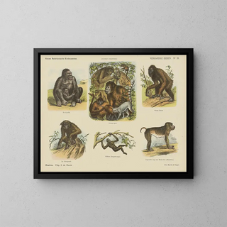 Emrik  Binger - Vierhandige dieren.webp