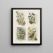 Papillons - Emrik Binger — quadro incorniciato alla parete