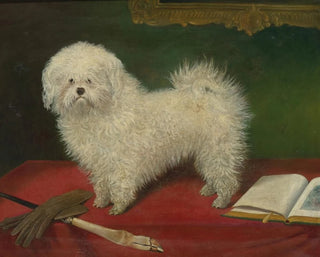 English School - A Maltese on a Red Table Cloth.webp