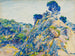 Point Lobos - Ernest Haskell — vista dell’opera