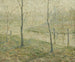 Brume del mattino - Ernest Lawson — vista dell’opera