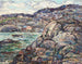 Costa rocciosa della Nuova Scozia - Ernest Lawson — vista dell’opera
