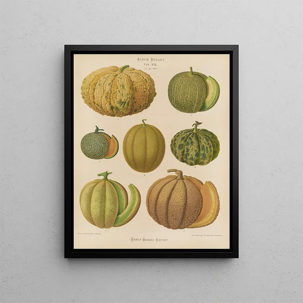 Melons - Ernst Benary — quadro incorniciato alla parete