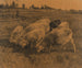 Moutons contemplatifs - Ernst Klee — vista dell’opera