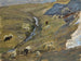 gregge di pecore su un alpe - Ernst Schiess — vista dell’opera