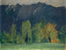 Paesaggio montano - Ernst Schiess — vista dell’opera