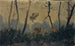 Alberi sul bordo dell'acqua - Ernst Schiess — vista dell’opera