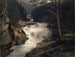 Cascata nella valle di Avers - Ernst Schiess — vista dell’opera