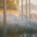 Esprits nocturnes - Gaston La Touche — vista dell’opera