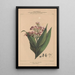 Flore d'America Pl07 - Étienne Denisse — quadro incorniciato alla parete