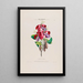 Flore d'America disegnato dal vero sul posto Pl006 - Étienne Denisse — quadro incorniciato alla parete