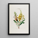 Flore d'America disegnata dal vero sul posto Pl035 - Étienne Denisse — quadro incorniciato alla parete