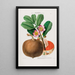 Flore d'America disegnato dal vero sul posto Pl088 - Étienne Denisse — quadro incorniciato alla parete