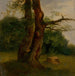 Studio di un albero foglioso - Jozef Boetech Klemens — vista dell’opera