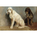 Riproduzione del dipinto Studio di due cani - Rosa Bonheur