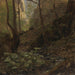 Studio forestale - Hans Gude — vista dell’opera