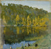 Studio di paesaggio di foresta di stagni - Eero Järnefelt — vista dell’opera