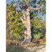 Riproduzione del dipinto Studio degli alberi - Rosa Bonheur