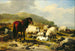Paesaggio con Pecore - Eugène Joseph Verboeckhoven — vista dell’opera