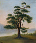 Cèdre - F. Bindon Burton — vista dell’opera