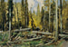 Foresta di Boemia - Ferdinand Engelmüller — vista dell’opera
