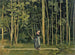 Passeggiata lungo il margine di un bosco - Ferdinand Hodler — vista dell’opera
