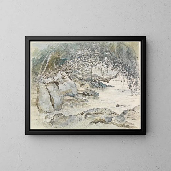 Rivage roccioso bagnato dal Parahyba - Ferdinand Keller — quadro incorniciato alla parete