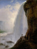 Sotto le cascate del Niagara - Ferdinand Richardt — vista dell’opera