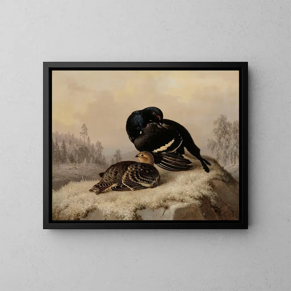 Tetra lyre maschio e femmina - Ferdinand von Wright — quadro incorniciato alla parete