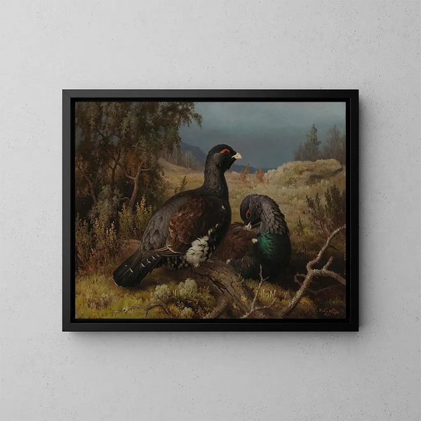 Galli di gallo cedrone - Ferdinand von Wright — quadro incorniciato alla parete