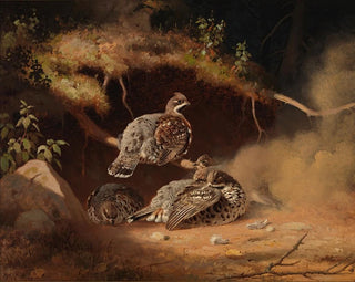 Ferdinand von Wright - Hazel Grouse Wallowing In Sand.webp
