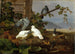 Colombi - Ferdinand von Wright — vista dell’opera