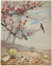 Avril - Fidelia Bridges — vista dell’opera