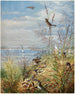 Febbraio - Fidelia Bridges — vista dell’opera