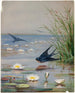 Gennaio - Fidelia Bridges — vista dell’opera
