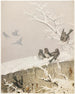Gennaio II - Fidelia Bridges — vista dell’opera