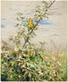 giugno - Fidelia Bridges — vista dell’opera