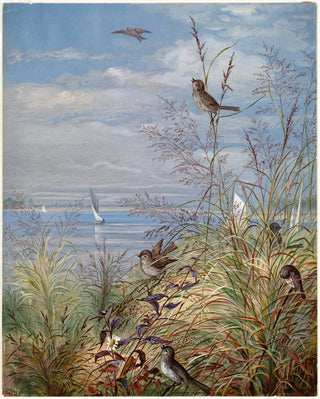 Fidelia Bridges - September.webp