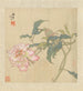 Fiori e uccelli Pl 3 - Ren Yi — vista dell’opera