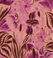 Fiori tropicali - Anonimo — vista dell’opera
