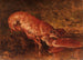Nature morte con aragosta - Félix Ziem — vista dell’opera