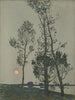 Alberi alla luce della luna - Florence Esté — vista dell’opera