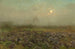 Campo di cavoli alla luce della luna - Florent Crabeels — vista dell’opera