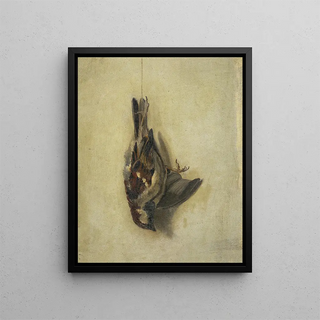 Floris Verster - Dead sparrow on a string.webp