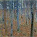 Riproduzione del dipinto Foresta di faggi - Gustav Klimt