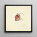 Fragola - Elisabeth Geertruida van de Kasteele — quadro incorniciato alla parete