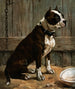Terrier seduto - Frances Townsend — vista dell’opera